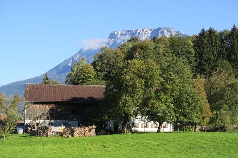 Leitner Kiefersfelden