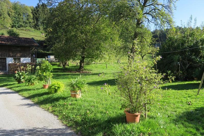 Farm stay Leitner